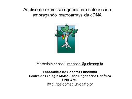 Análise de expressão gênica em café e cana empregando macroarrays de cDNA Marcelo Menossi - Laboratório de Genoma Funcional Centro de.