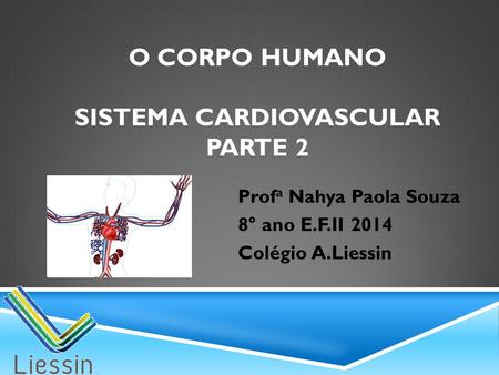 O corpo humano sistema cardiovascular PARTE 2