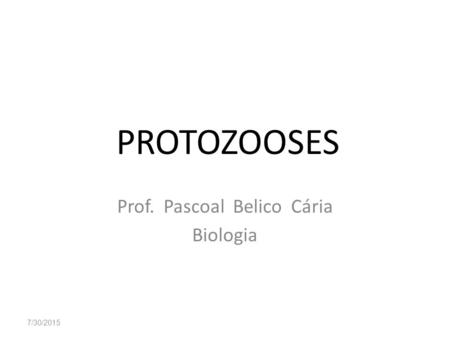 Prof. Pascoal Belico Cária Biologia