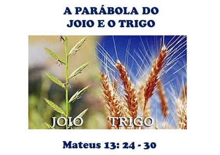 A PARÁBOLA DO JOIO E O TRIGO Mateus 13: 24 - 30.