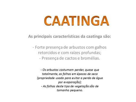 CAATINGA As principais características da caatinga são: - Forte presença de arbustos com galhos retorcidos e com raízes profundas; - Presença de cactos.