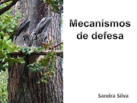 Mecanismos de defesa Sandra Silva.