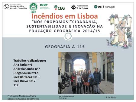 Incêndios em Lisboa “Nós Propomos!”Cidadania, sustentabilidade e inovação na educação geográfica 2014/15 Geografia A-11º Trabalho realizado por: Ana Faria.