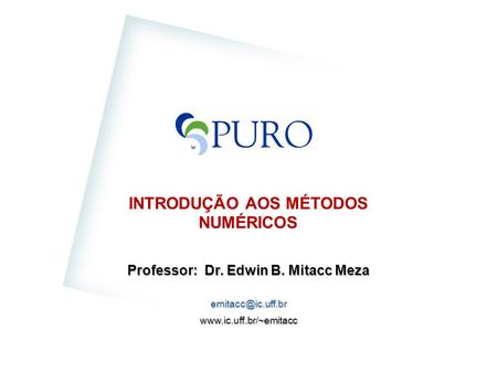 INTRODUÇÃO AOS MÉTODOS NUMÉRICOS Professor: Dr. Edwin B. Mitacc Meza