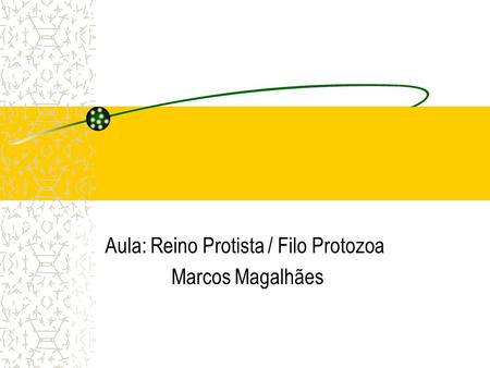 Aula: Reino Protista / Filo Protozoa Marcos Magalhães