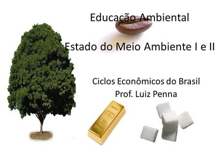 Educação Ambiental Estado do Meio Ambiente I e II
