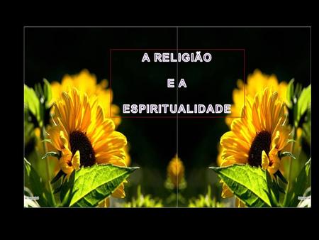 A RELIGIÃO E A ESPIRITUALIDADE.