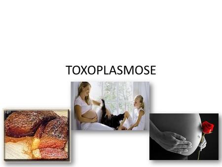 TOXOPLASMOSE.