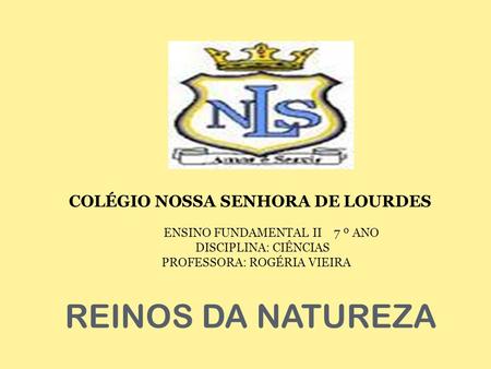 COLÉGIO NOSSA SENHORA DE LOURDES