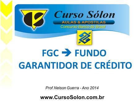 Www.CursoSolon.com.br e Concurso Banco do Brasil Prof.Nelson Guerra - Ano 2014 FGC  FUNDO GARANTIDOR DE CRÉDITO.