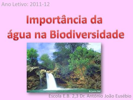 Escola E.B. 2,3 Dr. António João Eusébio