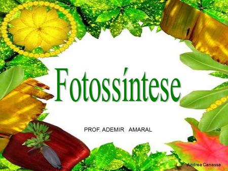 Fotossíntese PROF. ADEMIR AMARAL Andrea Canassa.