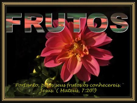 ¨Portanto, pelos seus frutos os conhecereis.¨ Jesus. ( Mateus, 7:20.) ¨Portanto, pelos seus frutos os conhecereis.¨ Jesus. ( Mateus, 7:20.)