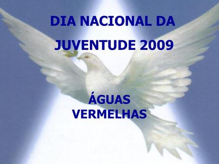 PLANO DE AÇÃO - 2007 DIA NACIONAL DA JUVENTUDE 2009 ÁGUAS VERMELHAS.