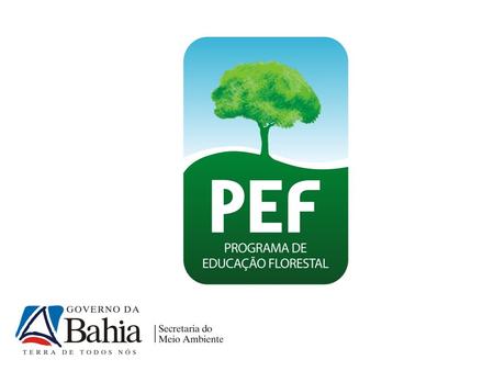 A Educação Florestal Educação ambiental focada na valorização do patrimônio florestalEducação ambiental focada na valorização do patrimônio florestal.