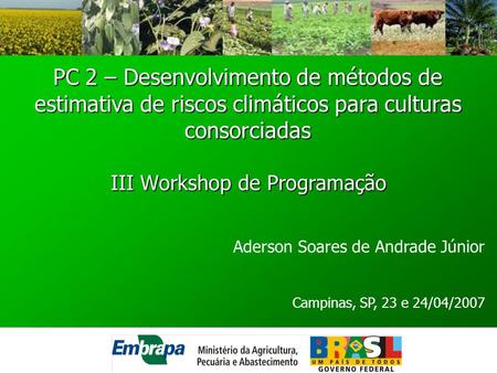 III Workshop de Programação Aderson Soares de Andrade Júnior Campinas, SP, 23 e 24/04/2007 PC 2 – Desenvolvimento de métodos de estimativa de riscos climáticos.