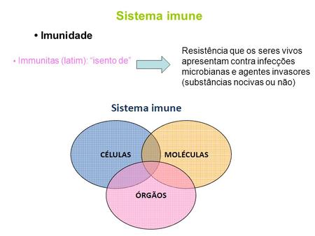 Sistema imune • Imunidade Resistência que os seres vivos