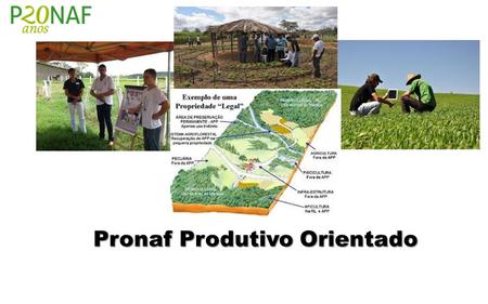 Pronaf Produtivo Orientado. Ministério do Desenvolvimento Agrário Plano Safra da Agricultura Familiar 2015|2016 MCR 10.20 – Pronaf Produtivo Orientado.