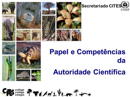 1 Papel e Competências da Autoridade Científica Secretariado CITES.