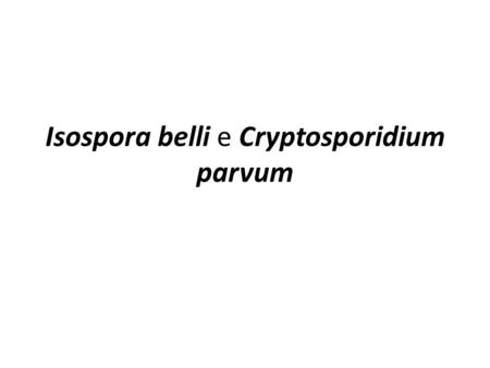 Isospora belli e Cryptosporidium parvum