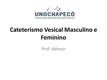 Cateterismo Vesical Masculino e Feminino