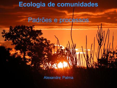 Ecologia de comunidades Padrões e processos