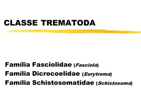 CLASSE TREMATODA Família Fasciolidae (Fasciola)