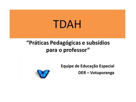“Práticas Pedagógicas e subsídios para o professor”