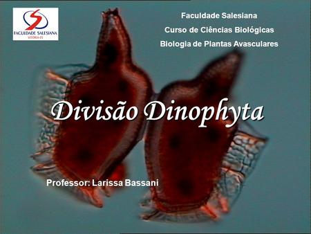 Divisão Dinophyta Professor: Larissa Bassani Faculdade Salesiana