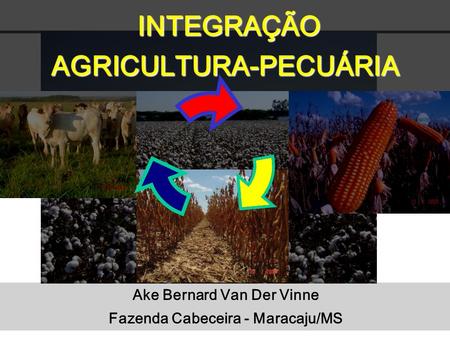INTEGRAÇÃO AGRICULTURA-PECUÁRIA