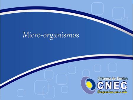 Micro-organismos.
