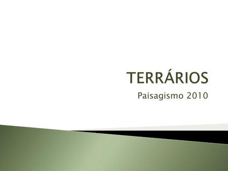 TERRÁRIOS Paisagismo 2010.
