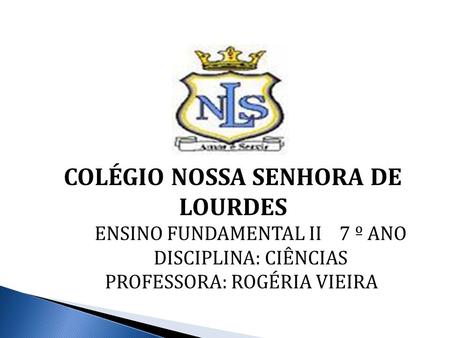 COLÉGIO NOSSA SENHORA DE LOURDES ENSINO FUNDAMENTAL II 7 º ANO