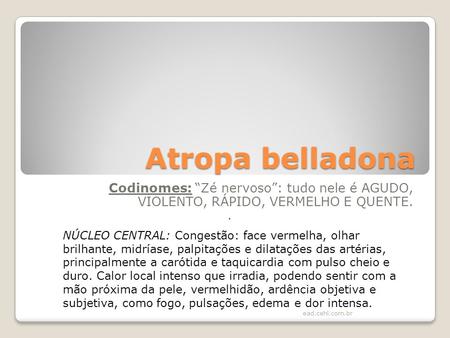 Atropa belladona Codinomes: “Zé nervoso”: tudo nele é AGUDO, VIOLENTO, RÁPIDO, VERMELHO E QUENTE. . NÚCLEO CENTRAL: Congestão: face vermelha, olhar brilhante,