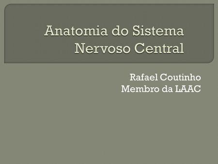 Anatomia do Sistema Nervoso Central