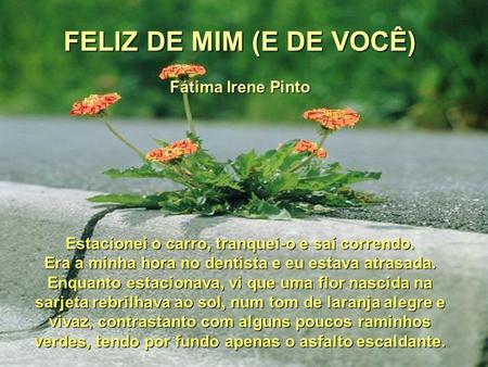 FELIZ DE MIM (E DE VOCÊ) Fátima Irene Pinto
