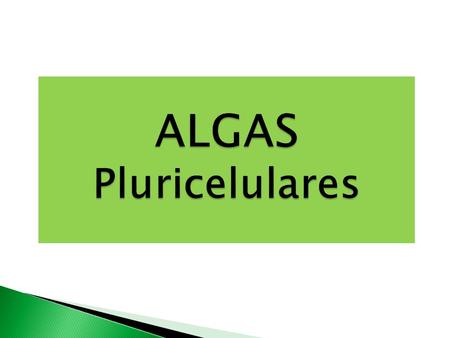 ALGAS Pluricelulares.