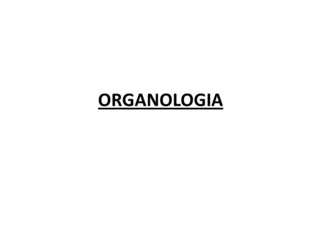 ORGANOLOGIA.