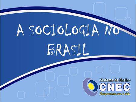 A SOCIOLOGIA NO BRASIL.