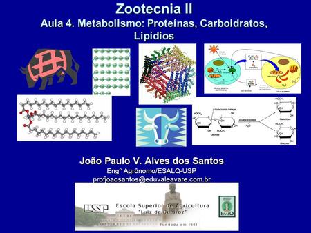 Zootecnia II Aula 4. Metabolismo: Proteínas, Carboidratos, Lipídios