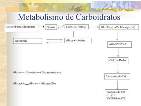 Metabolismo de Carboidratos