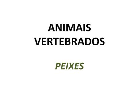 ANIMAIS VERTEBRADOS PEIXES.
