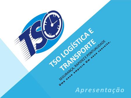 TSO LOGÍSTICA E transporte segurança, rapidez e pontualidade