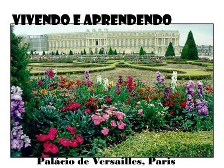 VIVENDO E APRENDENDO Palácio de Versailles, Paris.