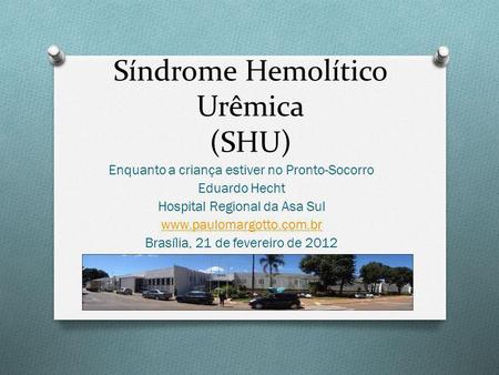Síndrome Hemolítico Urêmica (SHU)