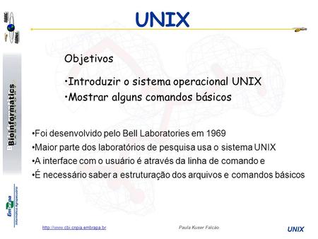 UNIX Objetivos Introduzir o sistema operacional UNIX