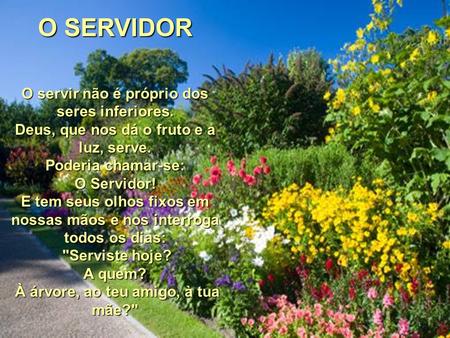 O SERVIDOR O servir não é próprio dos seres inferiores.