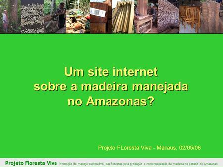 Um site internet sobre a madeira manejada no Amazonas?