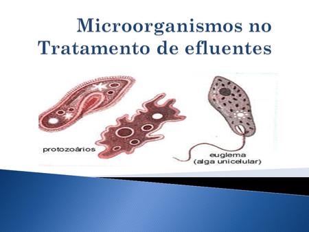 Microorganismos no Tratamento de efluentes