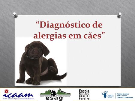 “Diagnóstico de alergias em cães”